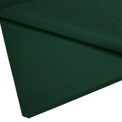 Standard Coloured Tissue Paper Bottle Green 500x700mm